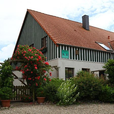 Haus Wildgans - Ferienwohnung Sonnenblume Behrensdorf Zewnętrze zdjęcie
