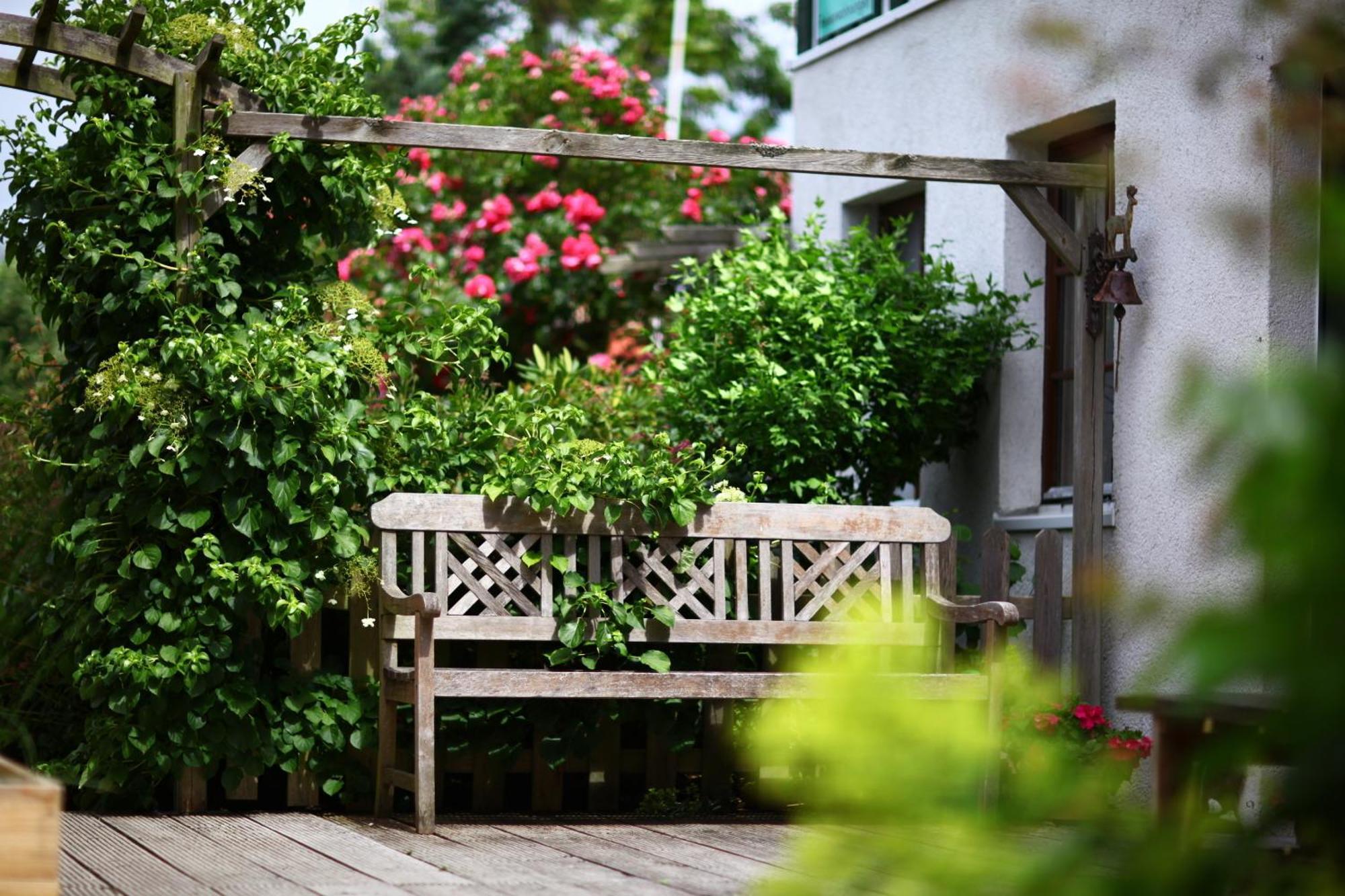 Haus Wildgans - Ferienwohnung Sonnenblume Behrensdorf Zewnętrze zdjęcie