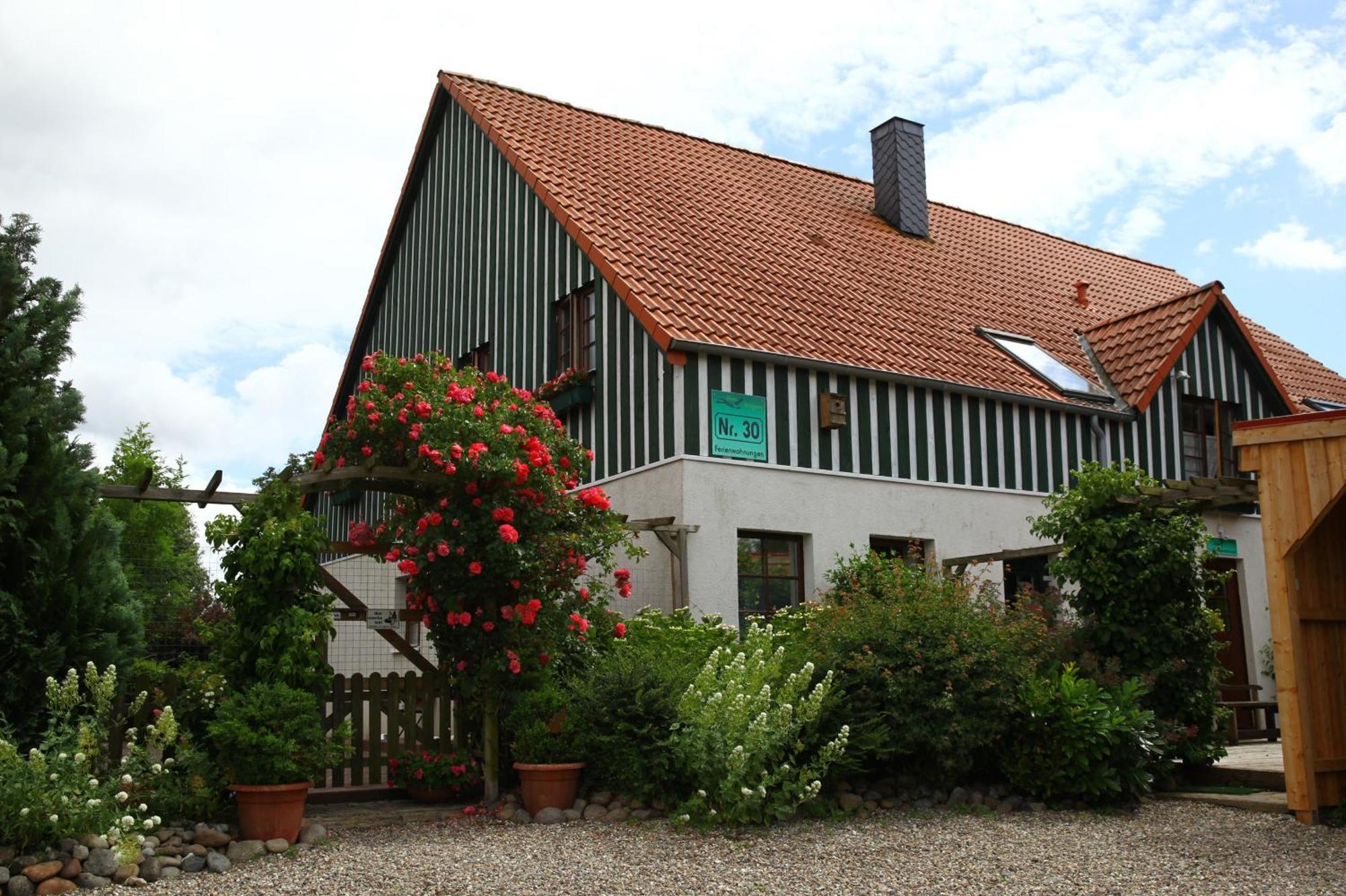 Haus Wildgans - Ferienwohnung Sonnenblume Behrensdorf Zewnętrze zdjęcie